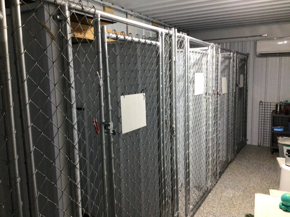 Ricketts Kennel - pet boarding facility in Sparta, MI