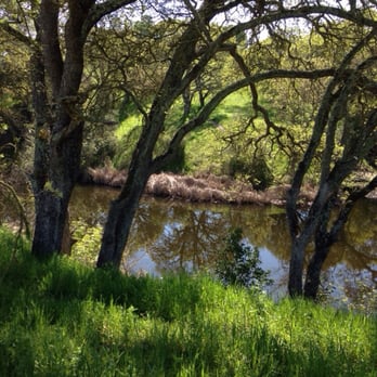 Hidden Lakes Park - Parks Near Me - Martinez, California