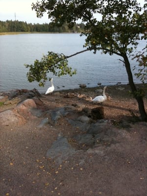 Seurasaari by null