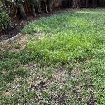 Greg's Rototilling & Landscaping - Before - Landscaping Near Me - Winters, California
