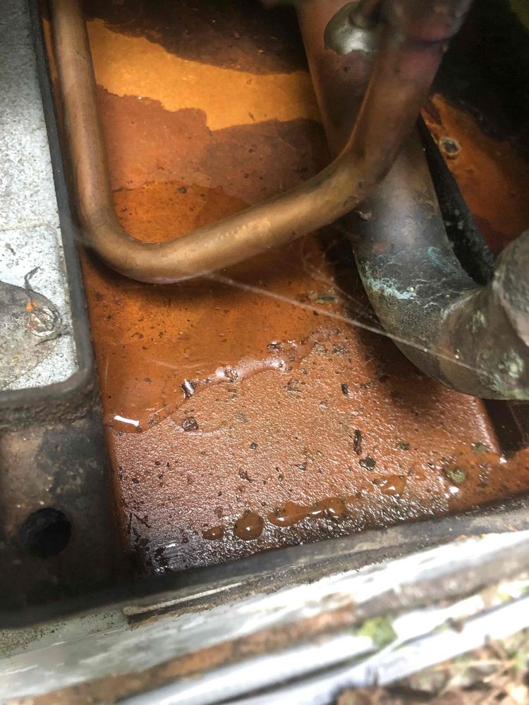 Slide of Swift Brothers