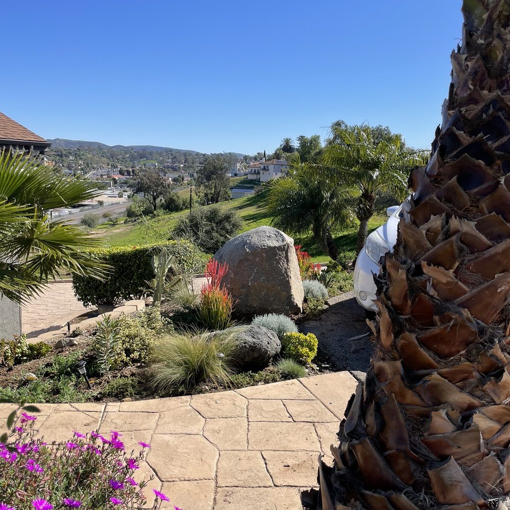 Protea, fire sticks, feather grass and more from Sunsol