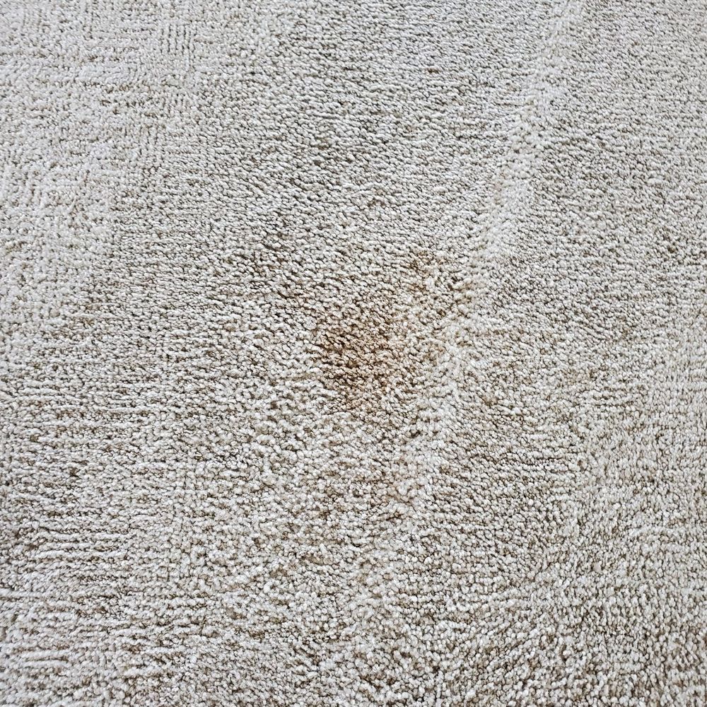 Da-Cotton Klining Services - Carpet stain - Home Cleaning Near Me - Honolulu, Hawaii