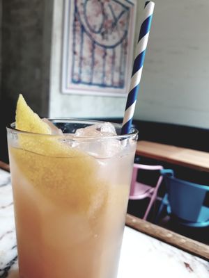 The Little Friend by null