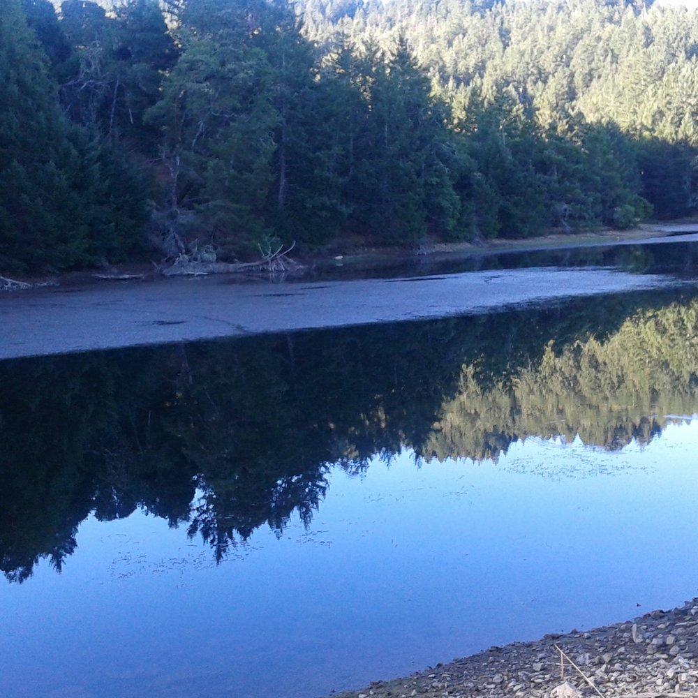 Bon Tempe Lake - Bon Tempe near SE corner - Hiking Near Me - Fairfax, California