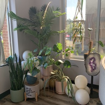 Ugo Artistry - Plant Corner - Hair Removal Near Me - Charlotte, North Carolina Ugo Artistry - Plant Corner - Hair Removal Near Me - Charlotte, North Carolina