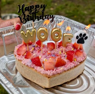 Wagz & Pawz Pet Supplies and Grooming