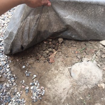 Martinez Design & Scape - Lots of old gravel and dirt from around the yard placed in dog run to hide - Tree Services Near Me