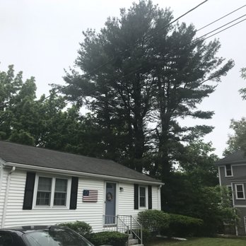 Malec Tree Service - Before! - Tree Services Near Me - Harrisville, Rhode Island