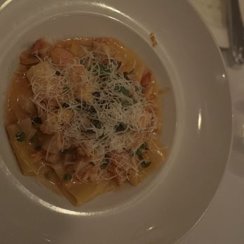 Trattoria Dario - Paccheri Arogosta is excellent! - Italian Near Me - Vero Beach, Florida Trattoria Dario - Paccheri Arogosta is excellent! - Italian Near Me - Vero Beach, Florida