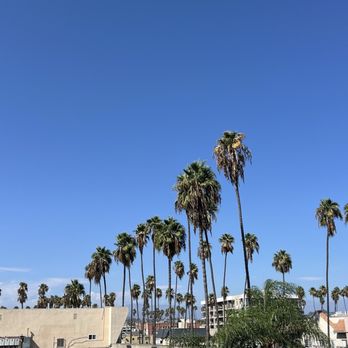 ELOREA - Views - Perfume Near Me - Los Angeles, California
