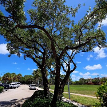 Peacock Park - The park's parking lot - Parks Near Me - Miami, Florida Peacock Park - The park's parking lot - Parks Near Me - Miami, Florida