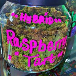 Best in town Hybrid