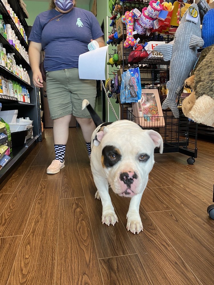 UNLEASHED PET GROOMING SCHOOL Updated August 2024 25 Photos & 30