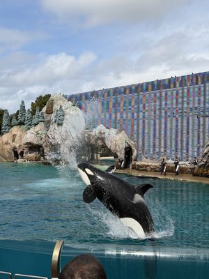 SeaWorld San Diego by null