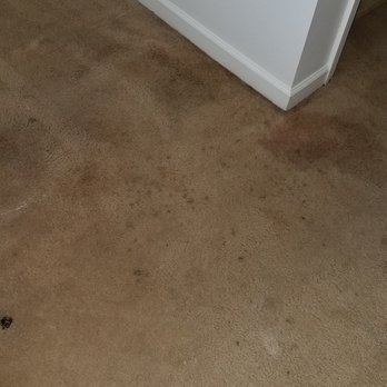College Park Apartments - Carpet. - Apartments Near Me - Albany, Georgia College Park Apartments - Carpet. - Apartments Near Me - Albany, Georgia