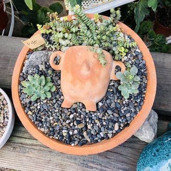 Petals N Wings - Arts & Crafts Near Me - Claremont, California