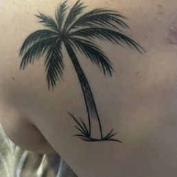 Poorly done palm tree by Angelo - weird shading and fuzzy lines