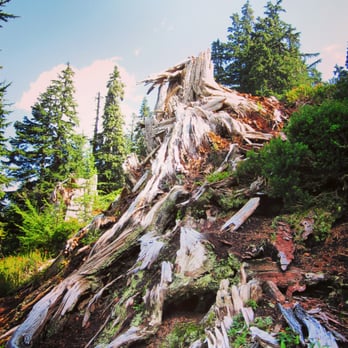 Snow Lake - Hiking Near Me - North Bend, Washington