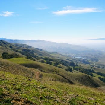Ed R. Levin County Park - View from Monument Peak Trail, halfway up! - Dog Parks Near Me - Milpitas, California Ed R. Levin County Park - View from Monument Peak Trail, halfway up! - Dog Parks Near Me - Milpitas, California