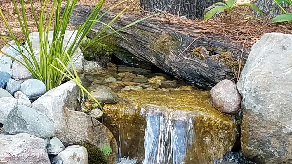 SPRINGER PONDS AND WATER GARDENS Updated April 2024 44 Photos