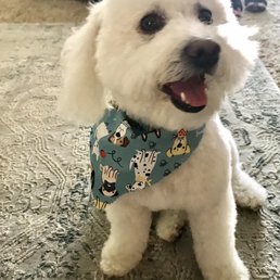 Archie