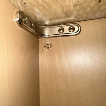 Home Masters Intl - Cabinet screw - General Contractors Near Me - Rancho Cucamonga, California Home Masters Intl - Cabinet screw - General Contractors Near Me - Rancho Cucamonga, California