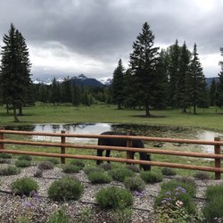 Mission Mountains Mercantile - View from deck out back.