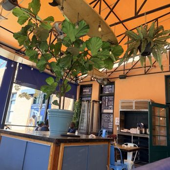 Fig Tree Cafe - Breakfast & Brunch Near Me - San Diego, California Fig Tree Cafe - Breakfast & Brunch Near Me - San Diego, California