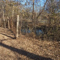 Muttland Meadows - It's completely fenced in for the safety of all