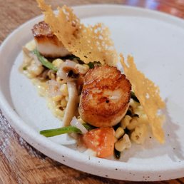 Scallops