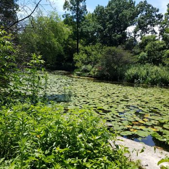 Alfred Caldwell Lily Pool - Parks Near Me - Chicago, Illinois Alfred Caldwell Lily Pool - Parks Near Me - Chicago, Illinois