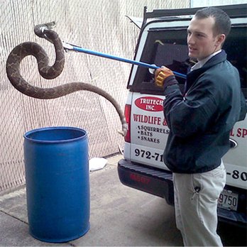 Trutech Wildlife Service - Pest Control Near Me Trutech Wildlife Service - Pest Control Near Me