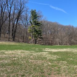 Happy Hollow Park