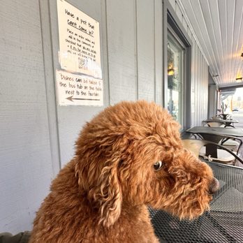 Our Place Coffee - Coffee & Tea Near Me - Zionsville, Indiana Our Place Coffee - Coffee & Tea Near Me - Zionsville, Indiana