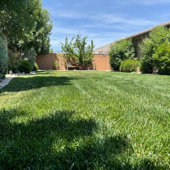 David’s Lawn Care Service - Yard grass - Lawn Services Near Me David’s Lawn Care Service - Yard grass - Lawn Services Near Me