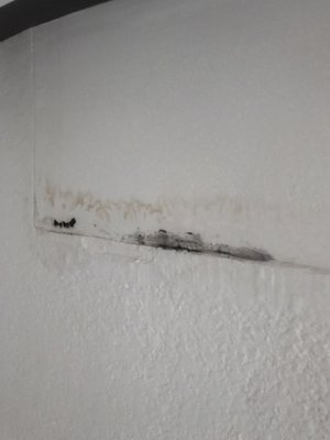 Hotel Posada del Mar by null