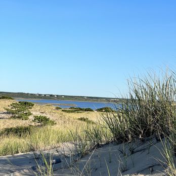 Art's Dune Tours - Tours Near Me - Provincetown, Massachusetts
