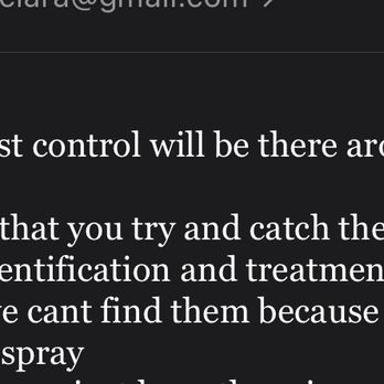 Pine Villa Apartments - Yes they want you to catch the bugs and save them to have the bug ppl come out and spray - Apartments Near Me - Redlands, California
