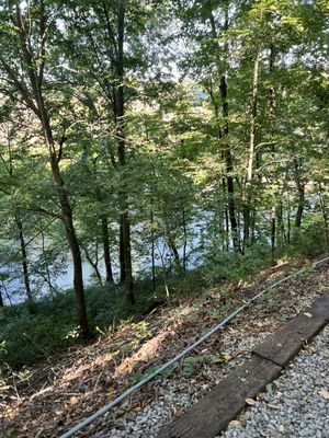 Bell Witch Cave by null