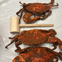 River City Crabs & Seafood - Paid for large males, I got smedium ones - check the size compared to the small mallet