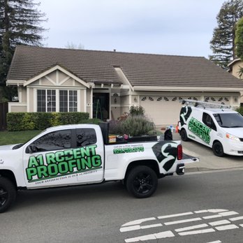 A1 Rodent Proofing and Pest Control - Rodent proofing and insulation job. Call today for free inspection 925-759-2775 - Pest Control Near Me - Pleasanton, California A1 Rodent Proofing and Pest Control - Rodent proofing and insulation job. Call today for free inspection 925-759-2775 - Pest Control Near Me - Pleasanton, California