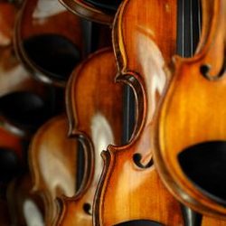 Gregory S. Sapp Violins