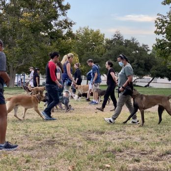 Pet Peeves Training - Reactive dog group class - Pet Training Near Me - Canoga Park, California Pet Peeves Training - Reactive dog group class - Pet Training Near Me - Canoga Park, California