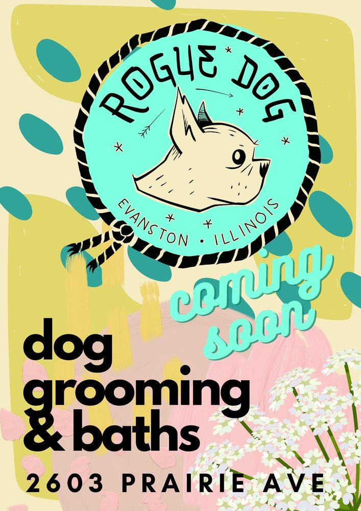 ROGUE DOG 2603 Prairie Ave, Evanston, Illinois Pet Groomers Phone