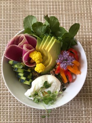 Zoe Deleu Catering by null