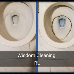 Wisdom Cleaning RL