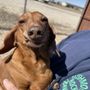 Photo of Almost Home Pet Resort