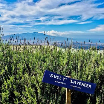 Ali'i Kula Lavender - Tours Near Me - Kula, Hawaii Ali'i Kula Lavender - Tours Near Me - Kula, Hawaii