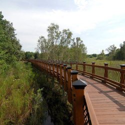 Caribbean Mystique Massage & Wellness Spa of Lutz - Our Beautiful Boardwalk to the side of the bldg. Great for a Nature/Meditative Walk :)